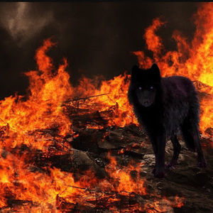 Meet your Posher, Cesar